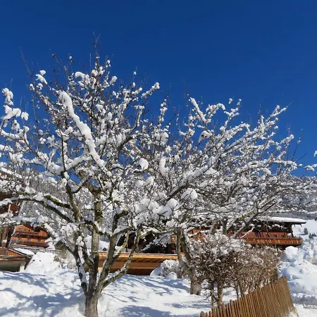 Apartman Haus Moosbrunn Alpbach